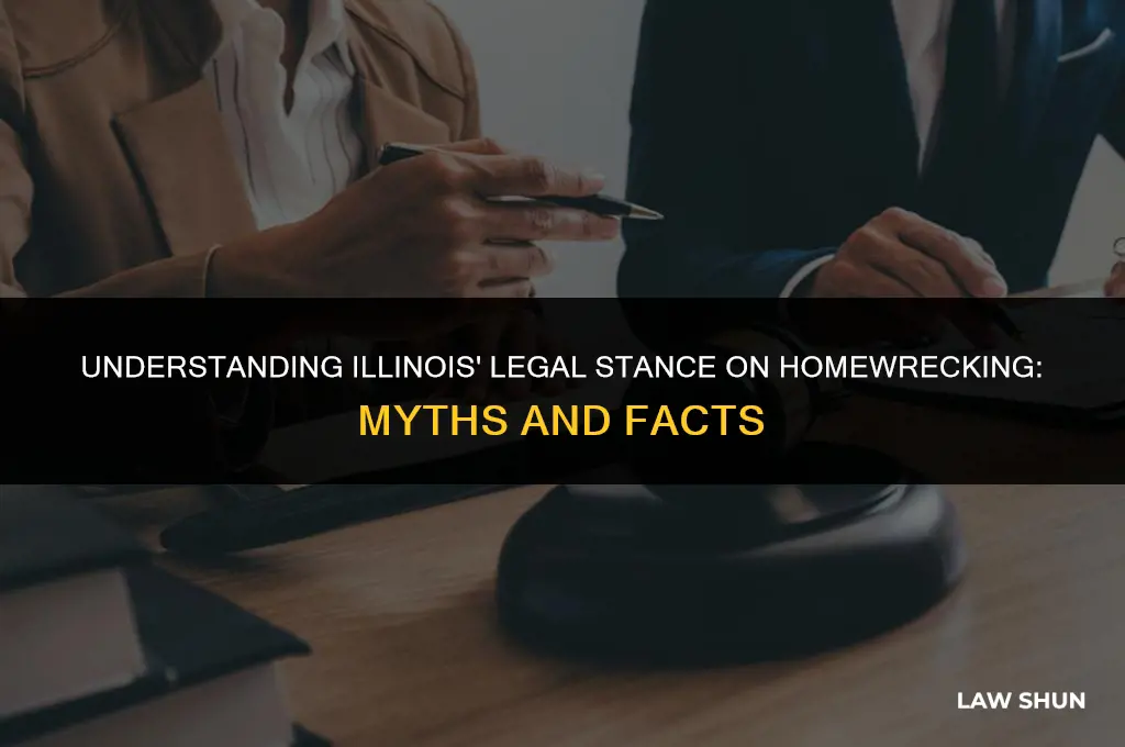 does illinois have a homewrecker law