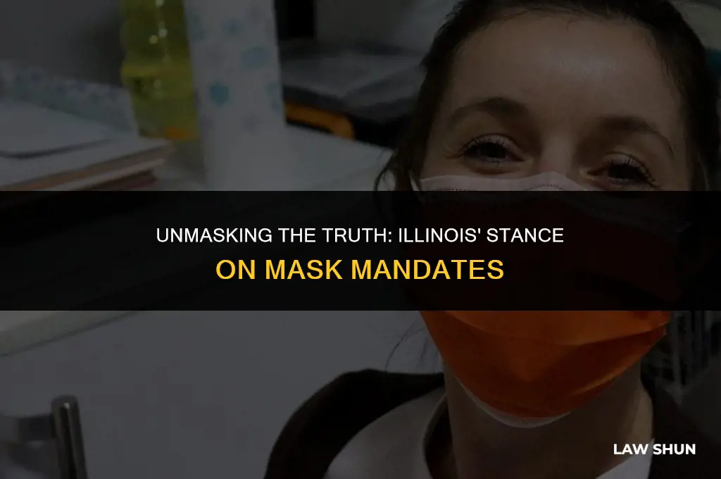 does illinois have a mask law
