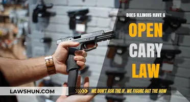 Illinois Open Carry Law: Understanding the State's Gun Regulations