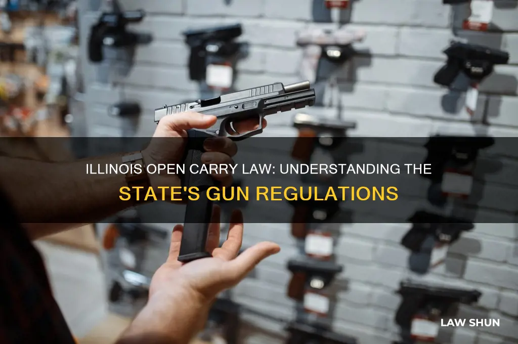 does illinois have a open cary law