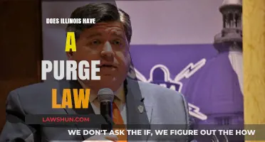 Understanding Illinois' Approach to Purge Laws: A Comprehensive Guide