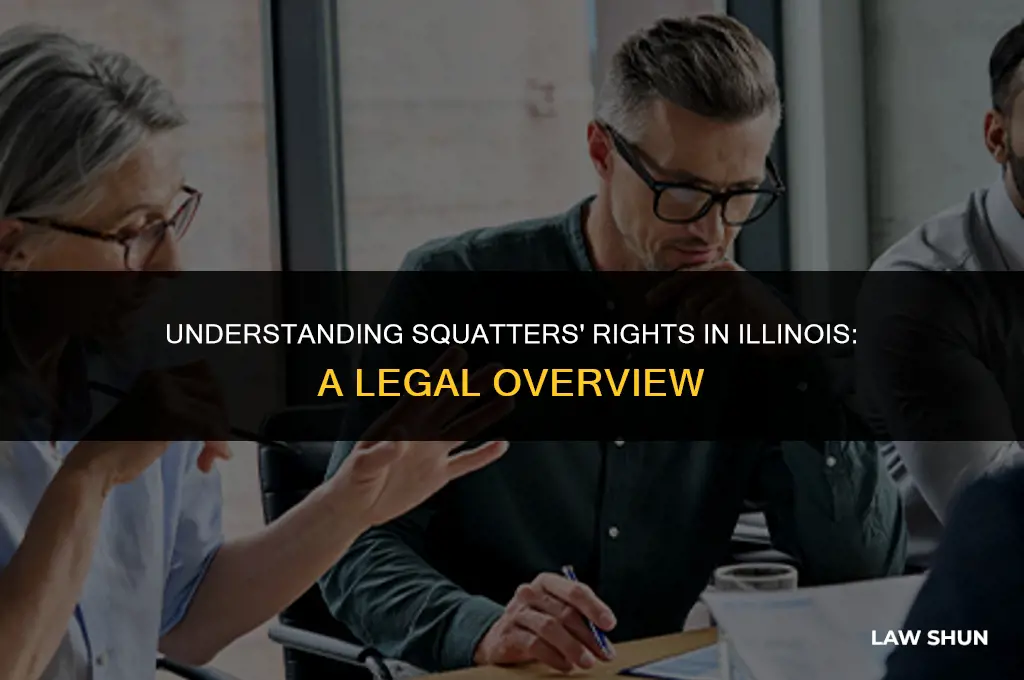 does illinois have a squatters law