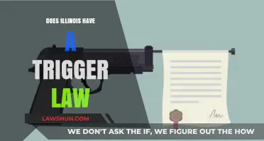 Exploring Illinois' Legal Landscape: The Presence of Trigger Laws