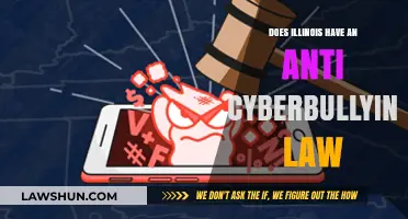 Illinois' Cyberbullying Laws: What You Need to Know
