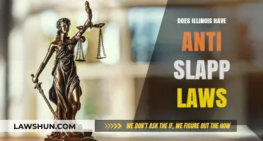Illinois SLAPP Laws: What Protections Are There?