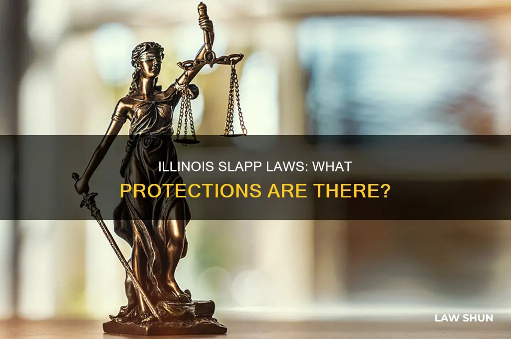 does illinois have anti slapp laws