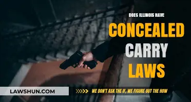 Illinois Concealed Carry Laws: Understanding Permits, Restrictions, and Requirements