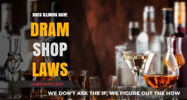 Understanding Illinois Dram Shop Laws: Liability and Compliance