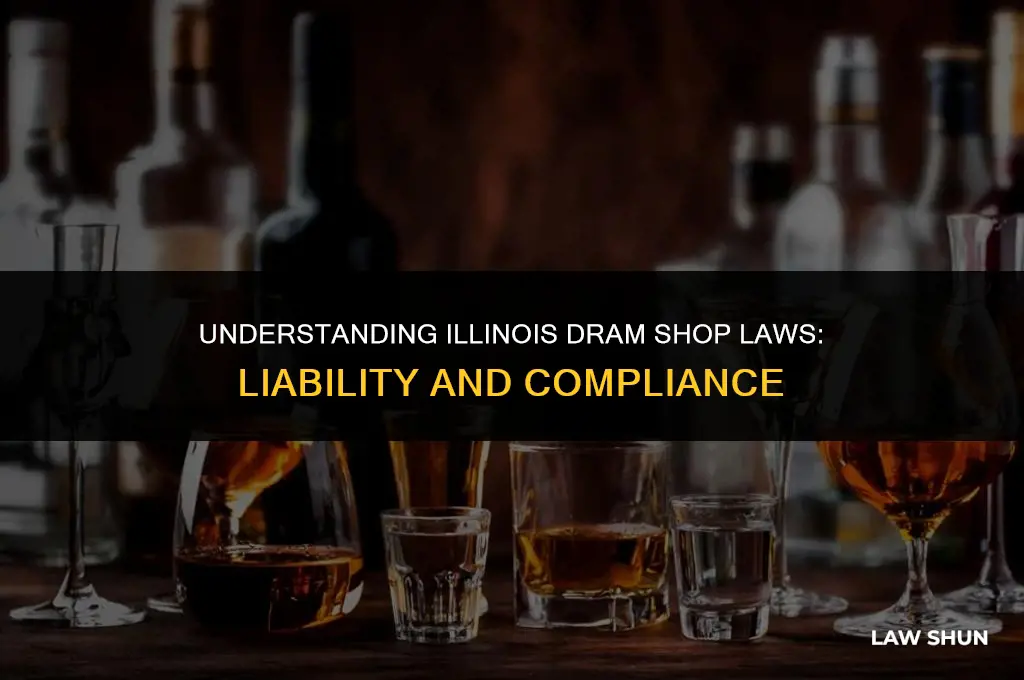 does illinois have dram shop laws