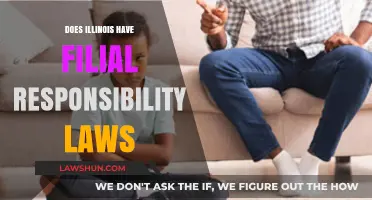 Understanding Filial Responsibility Laws in Illinois: A Comprehensive Guide