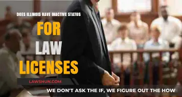 Inactive Status for Illinois Law Licenses: What You Need to Know