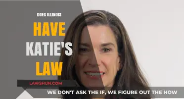 Understanding Katie's Law: Illinois' Stance on Protecting Children Online