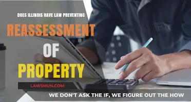 Illinois Property Reassessment Laws: Understanding Protection Against Frequent Valuations