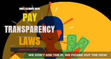 Unveiling Pay Transparency: Illinois' Stance on Wage Disclosure