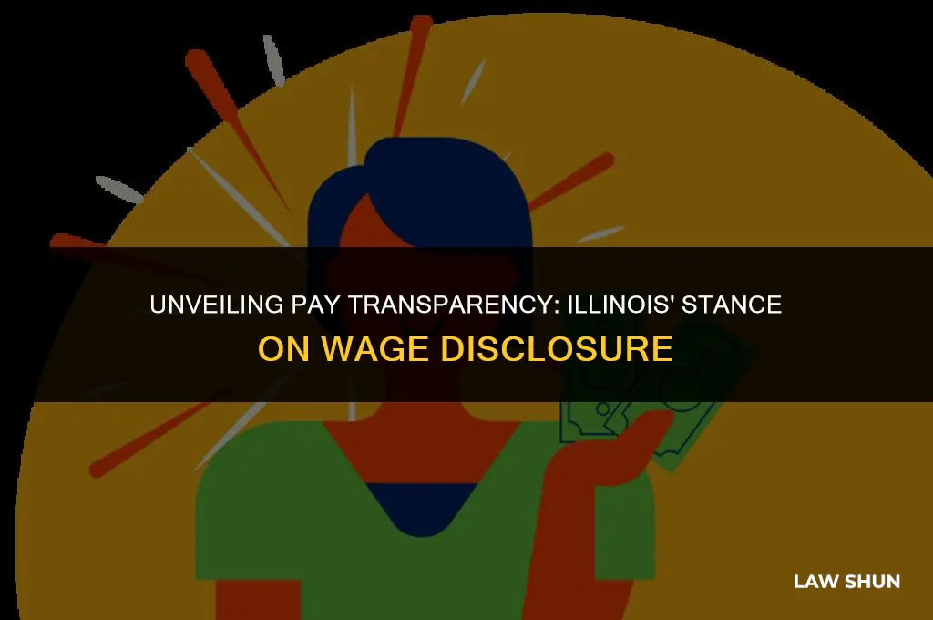 does illinois have pay transparency laws