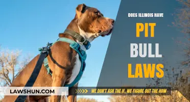 Understanding Illinois' Pit Bull Laws: A Comprehensive Guide