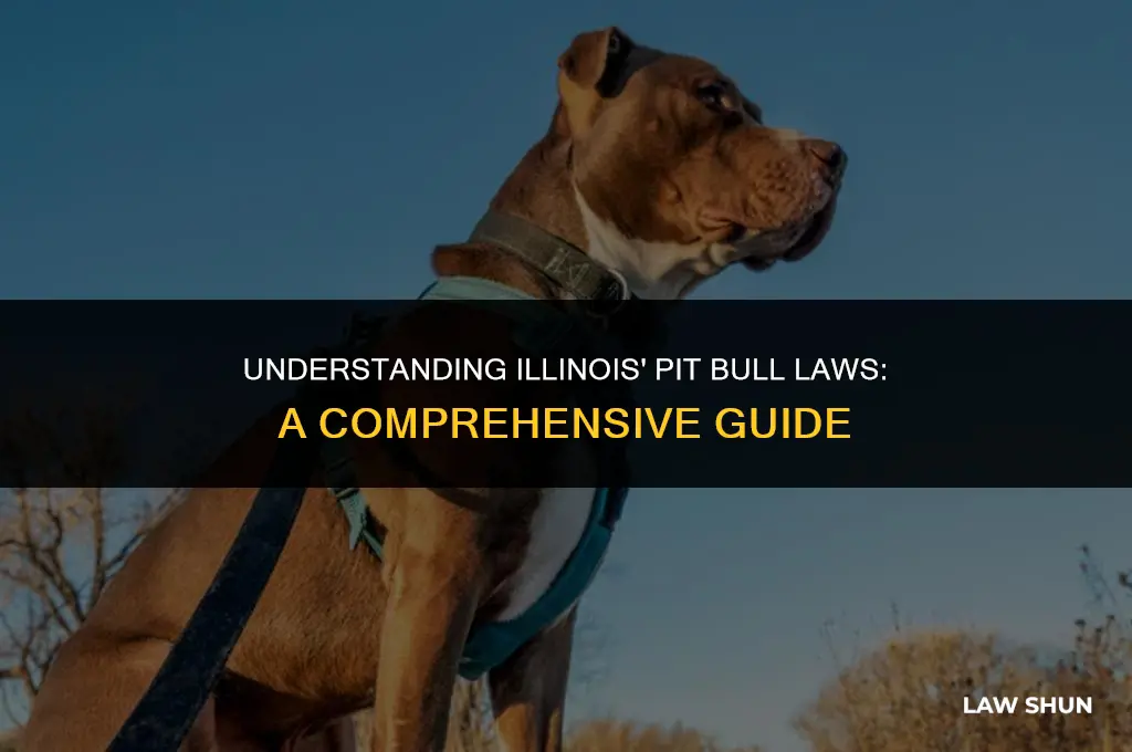 does illinois have pit bull laws