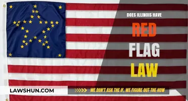 Understanding Illinois' Red Flag Law: A Comprehensive Guide