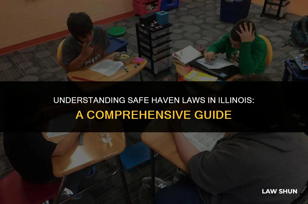 does illinois have safe haven laws