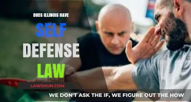 Understanding Self-Defense Laws in Illinois: A Comprehensive Guide
