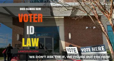 Illinois Voter ID Requirements: What You Need to Know at the Polls
