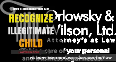 Illinois Inheritance Law: Rights of Illegitimate Children Explained