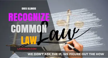 Illinois and Common Law: What's the Verdict?