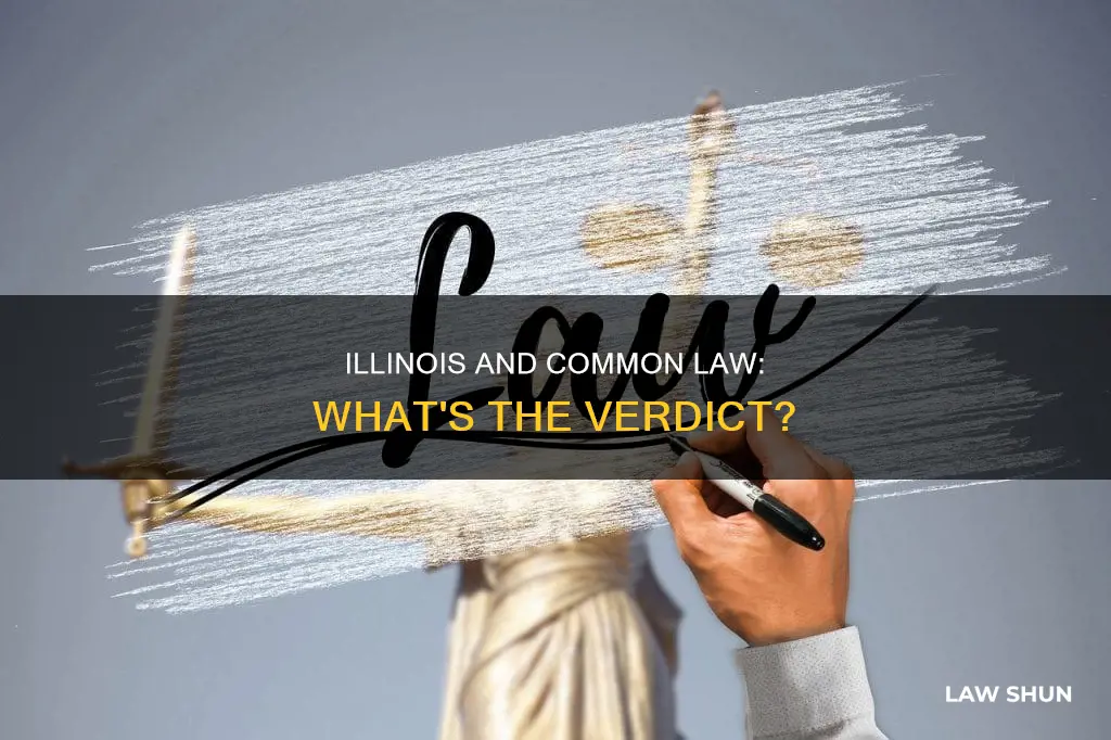 does illinois recognize common law