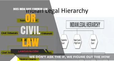 India's Legal System: Civil or Common Law?