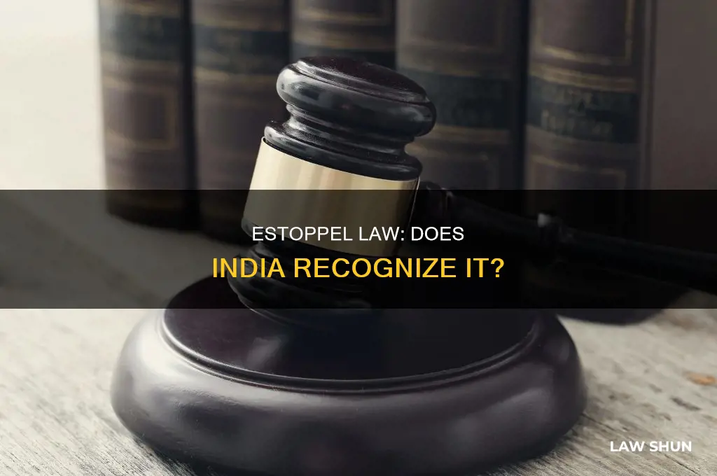 does india have estoppel law