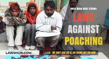 India's Anti-Poaching Laws: Strong Enough?