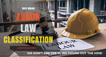 Understanding Indian Labor Law Classification: Key Insights and Implications