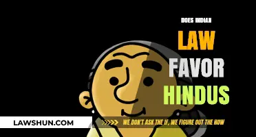 Hindus and Indian Law: A Favorable Alliance?