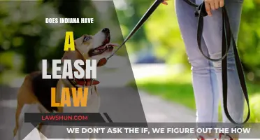 Exploring Indiana's Leash Law: What You Need to Know