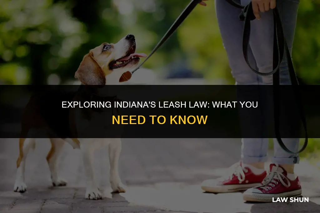 does indiana have a leash law