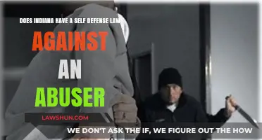 Indiana Self-Defense Laws: Protecting Victims Against Abusers Legally Explained