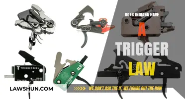 Exploring Indiana's Legal Landscape: The Presence of Trigger Laws