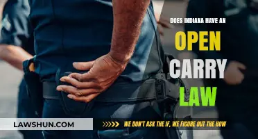 Indiana's Open Carry Law: Understanding Your Rights and Regulations