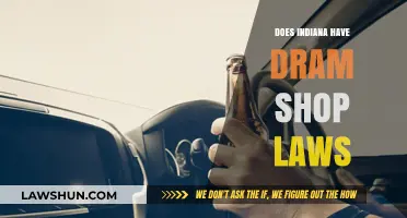 Understanding Indiana's Dram Shop Laws: Liability and Responsibility