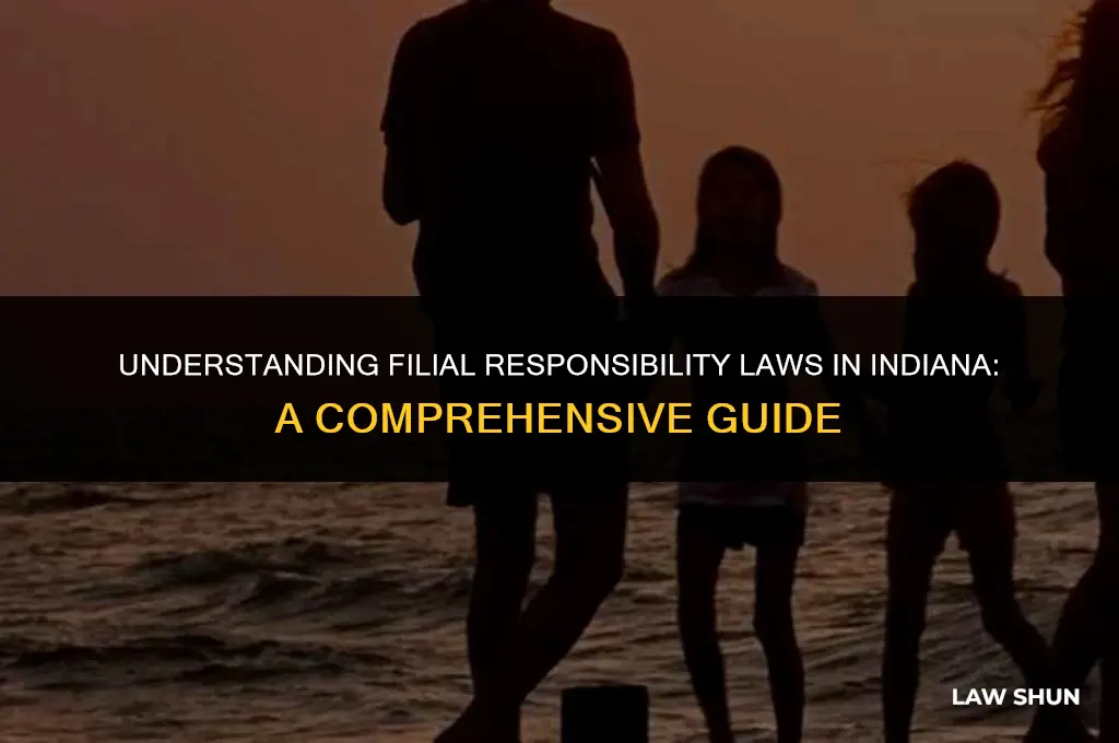 does indiana have filial responsibility laws