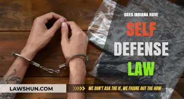 Understanding Indiana's Self-Defense Laws: A Comprehensive Guide