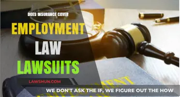 Navigating Employment Law Suits: Understanding Insurance Coverage