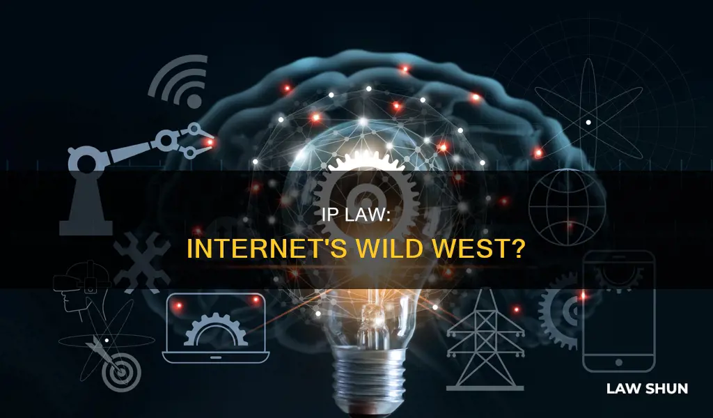 does intellectual property law apply to the internet