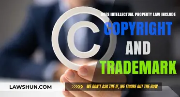 Understanding Intellectual Property: Copyright and Trademark Explained