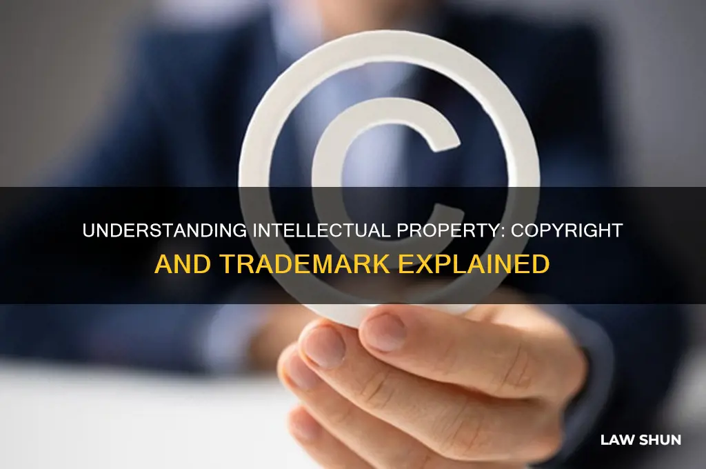 does intellectual property law include copyright and trademark