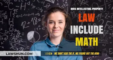 Exploring Intellectual Property Law: Does Math Qualify for Legal Protection?