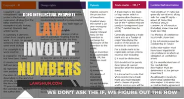 Intellectual Property Law: The Surprising Role of Numbers Explained