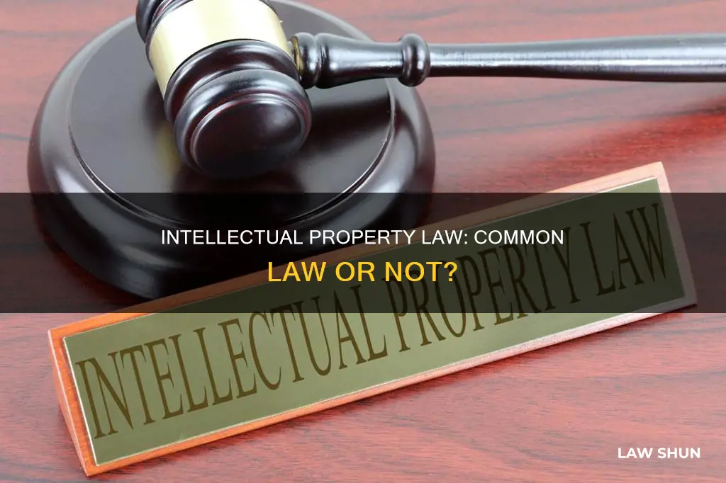 does intellectuall property law follow common law