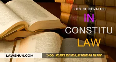 Intent's Role in Constitutional Law: Vital or Not?