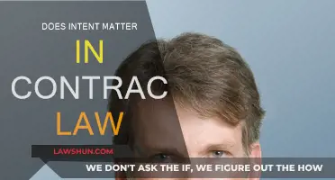 Intent's Role in Contract Law: Vital or Void?